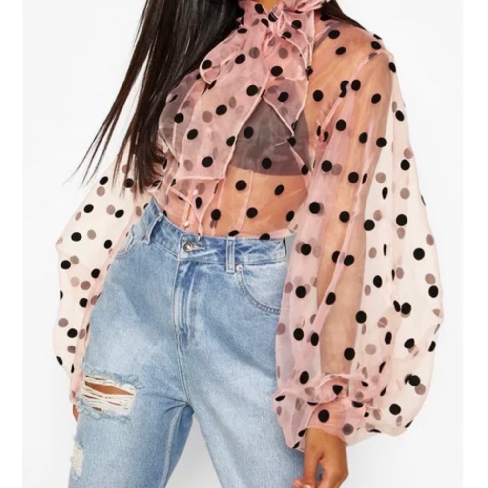 Blush Polka Dot Oversized Organza Blouse